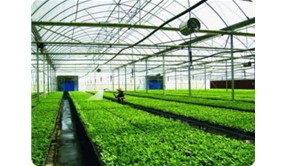 智能温室大棚代表了现代农业的发展方向